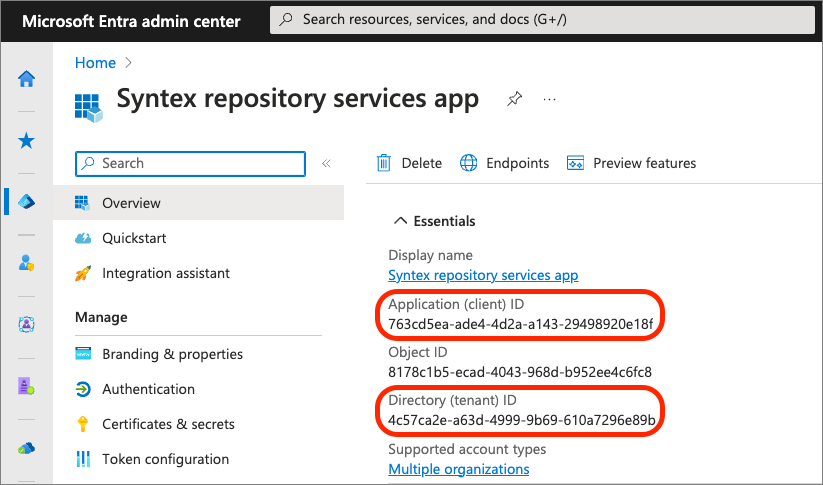 Screenshot of the application and Tenant IDs of the new app registration.