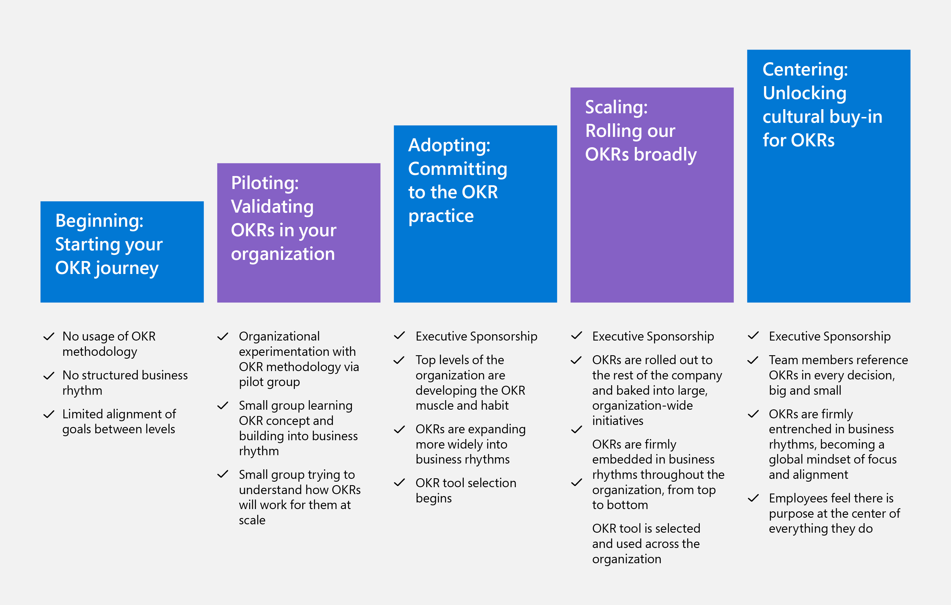 Diagram showing the five stages of the maturity model.