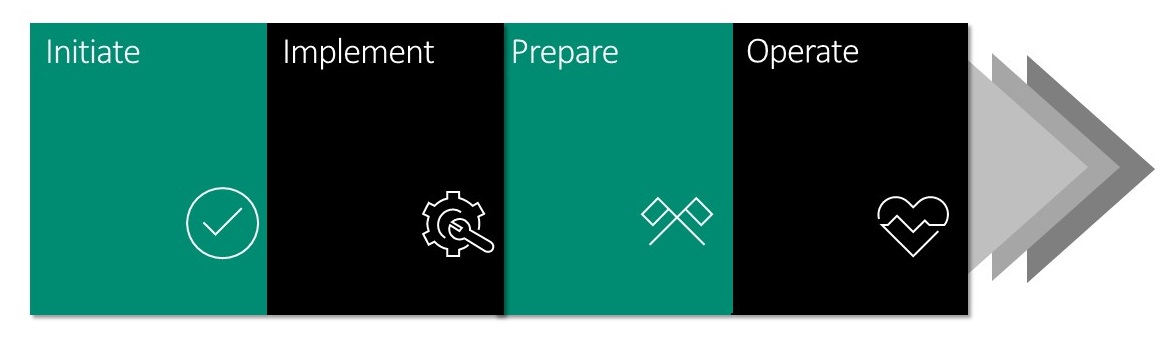 Diagram showing the phases of the implementation project.