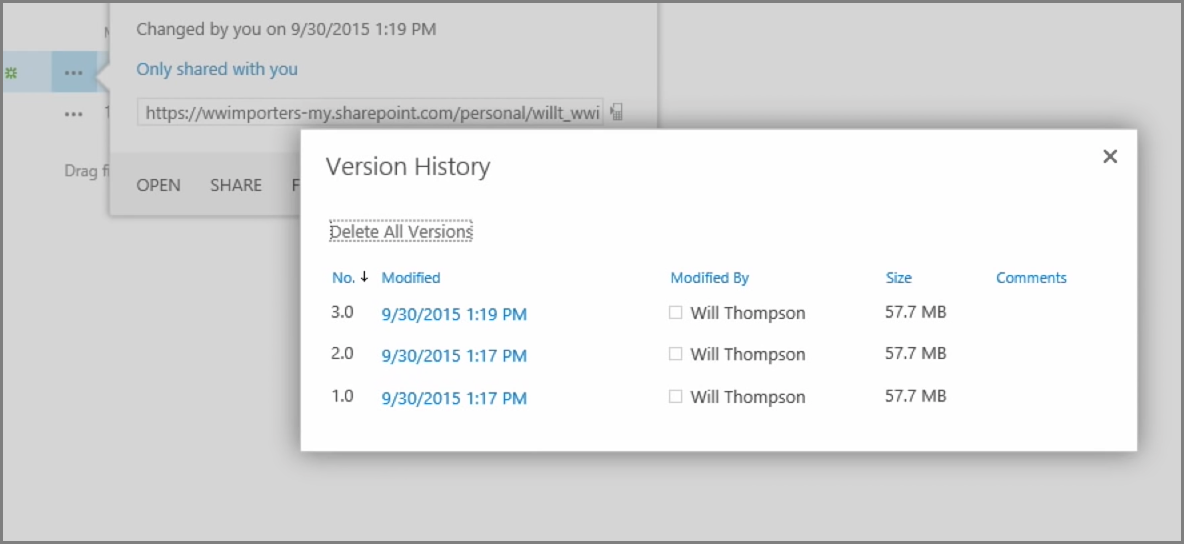 Screenshot of the "Version History" dialog.