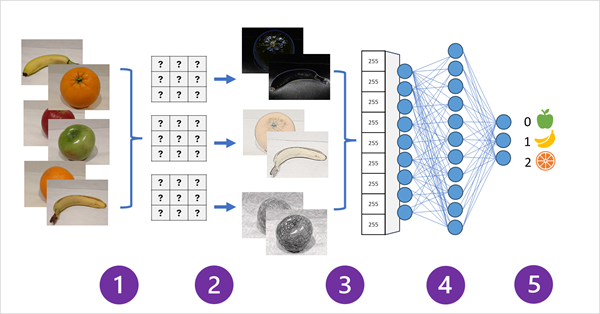 Diagram of a convolutional neural network.