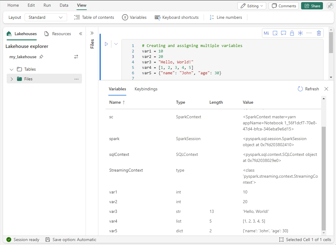 Screenshot of the variable explorer in a Microsoft Fabric notebook.