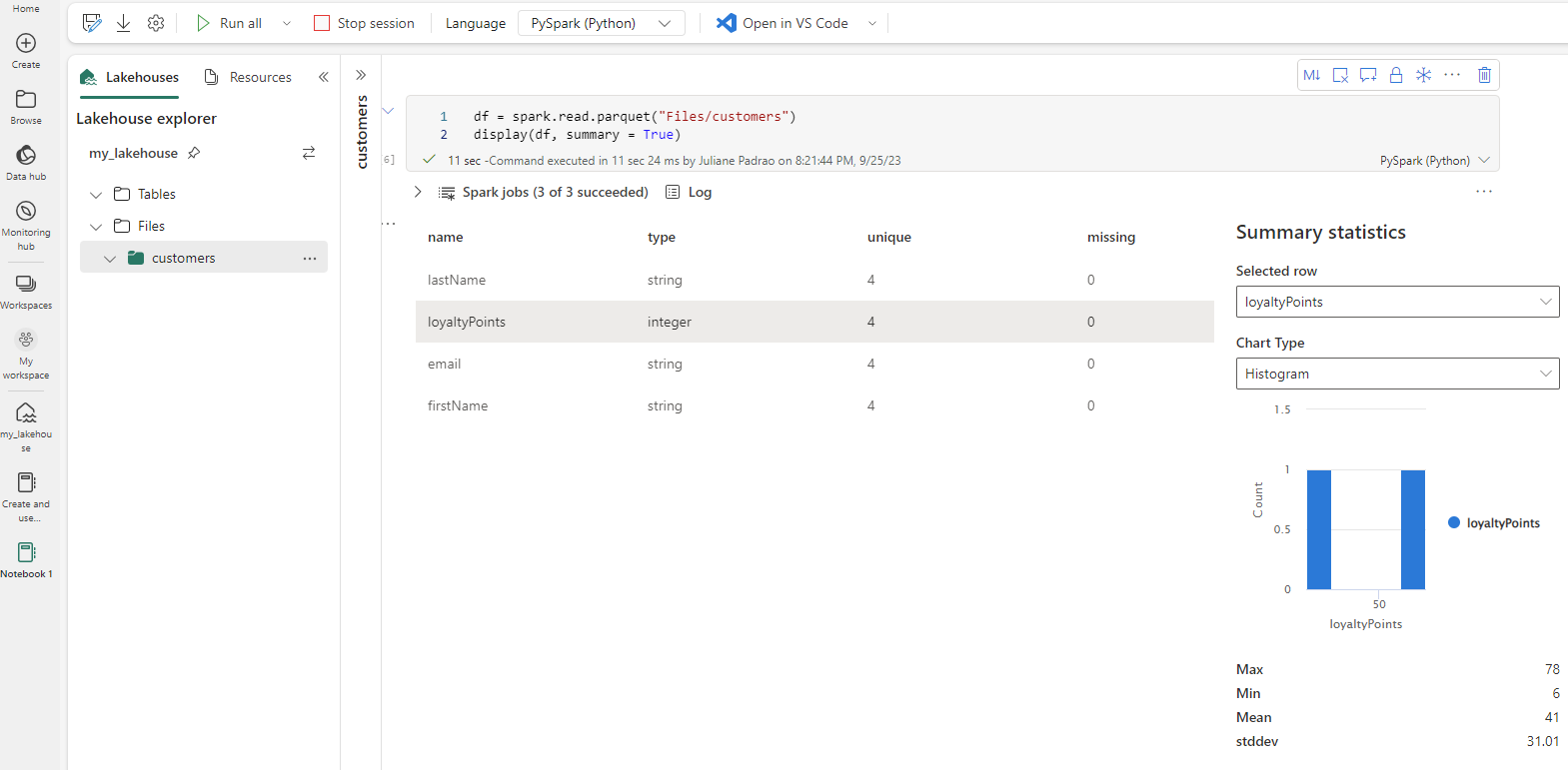 Screenshot of the summary statistics being automatically presented without the need for any additional coding.