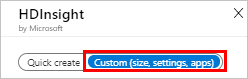 Screenshot that shows the H D Insight page with Custom highlighted.