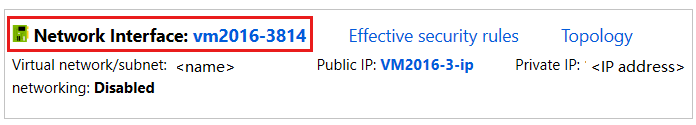 Screenshot of the Network Interface VM selection under Networking.