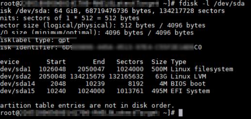 Screenshot shows boot with GPT type partition table.