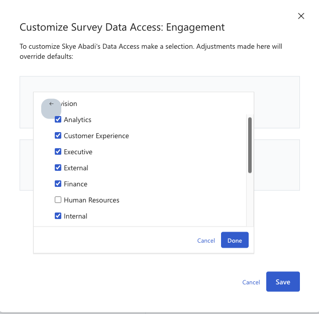 Screenshot of dialog with custom access attribute values selected.