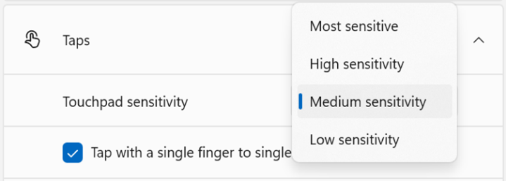 An image showing the AAP setting available options in the Settings App 