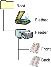 diagram illustrating the item tree of a flatbed scanner that supports simple duplex-capable document feeder scanning.