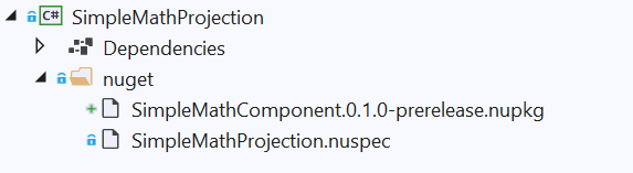 Solution Explorer showing projection generation