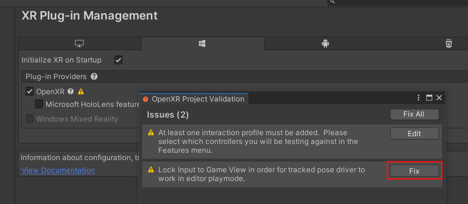 Project Validation window