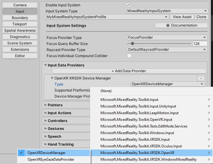 OpenXR input settings