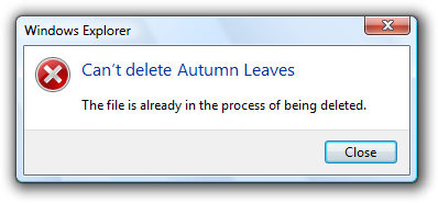 screen shot of message: can't delete file 
