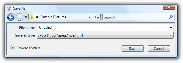 screen shot of save as dialog box 
