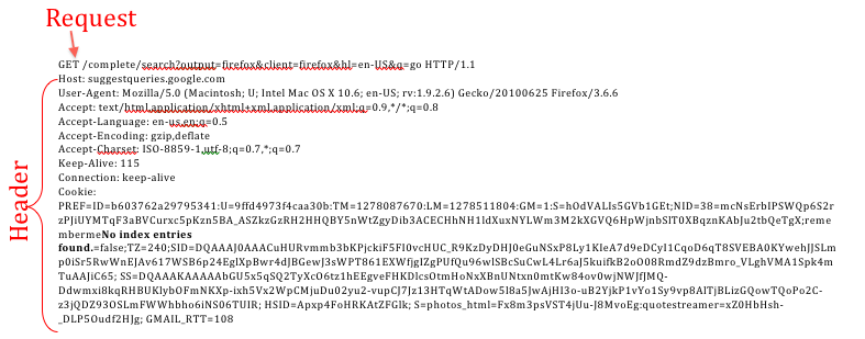 A screenshot that shows the elements of an actual browser request.