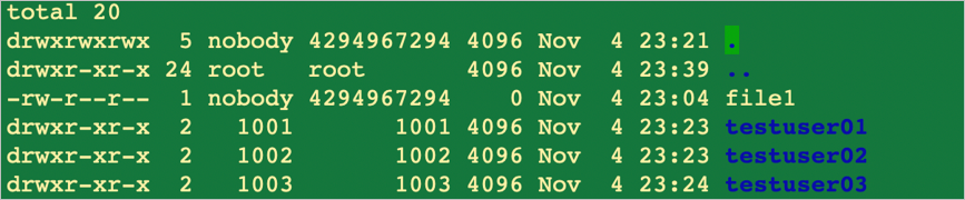 Configuración resultante para NFSv4.1