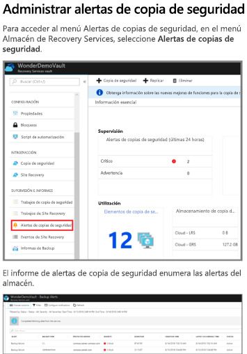 Informe de alertas de copia de seguridad