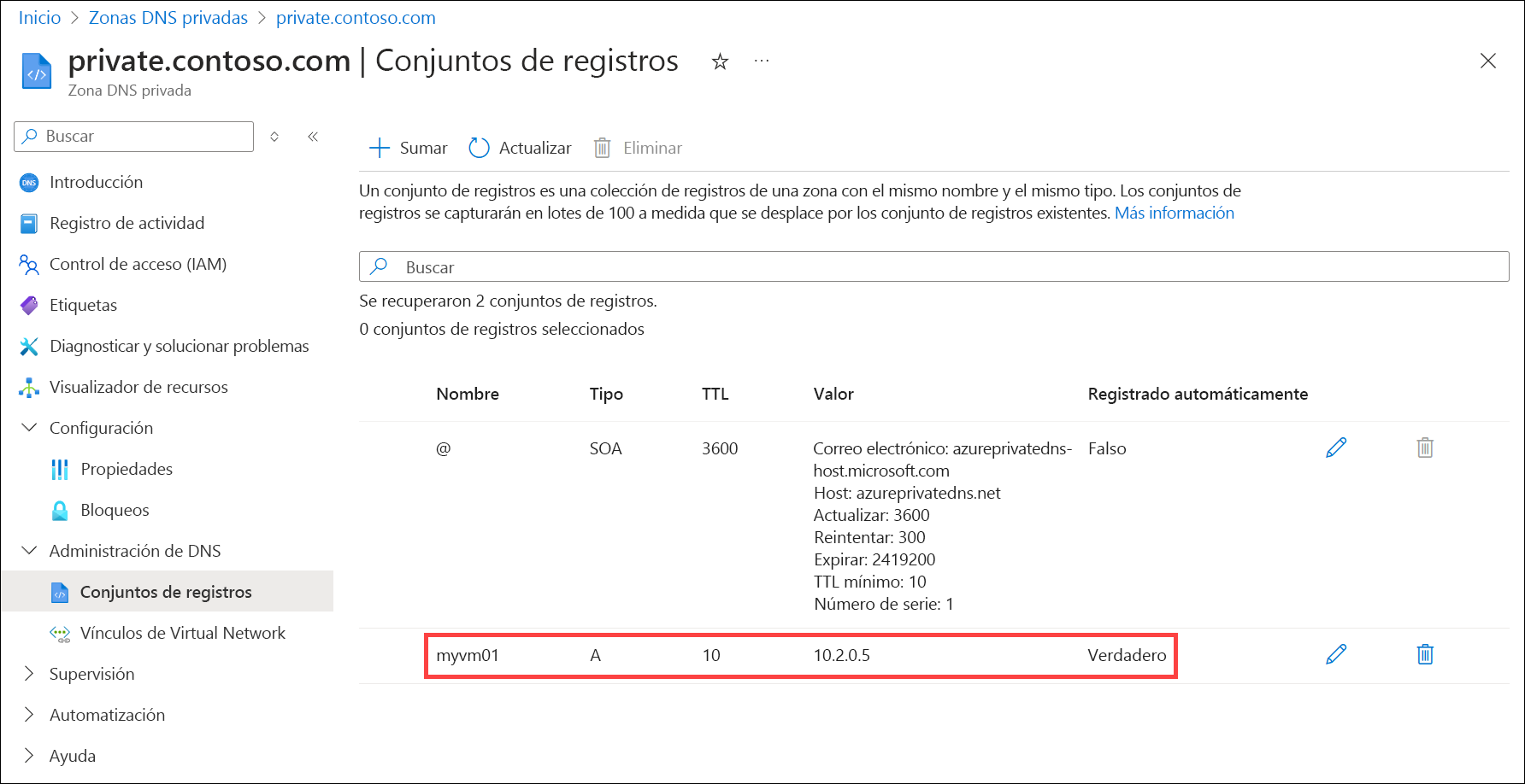 Captura de pantalla de un registro DNS registrado automáticamente.