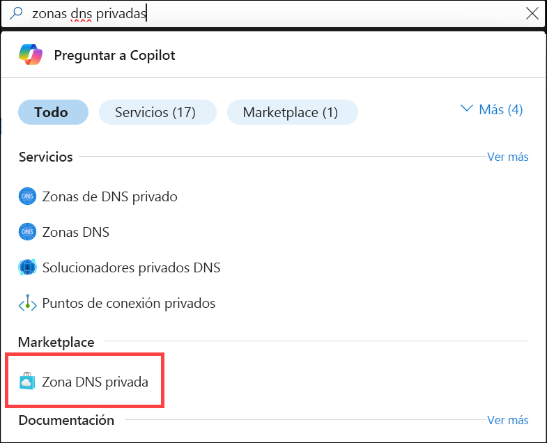 Captura de pantalla de búsqueda de zonas DNS privadas.