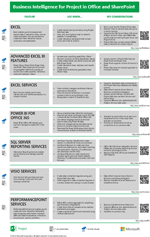 BI para Project en Office y SharePoint.