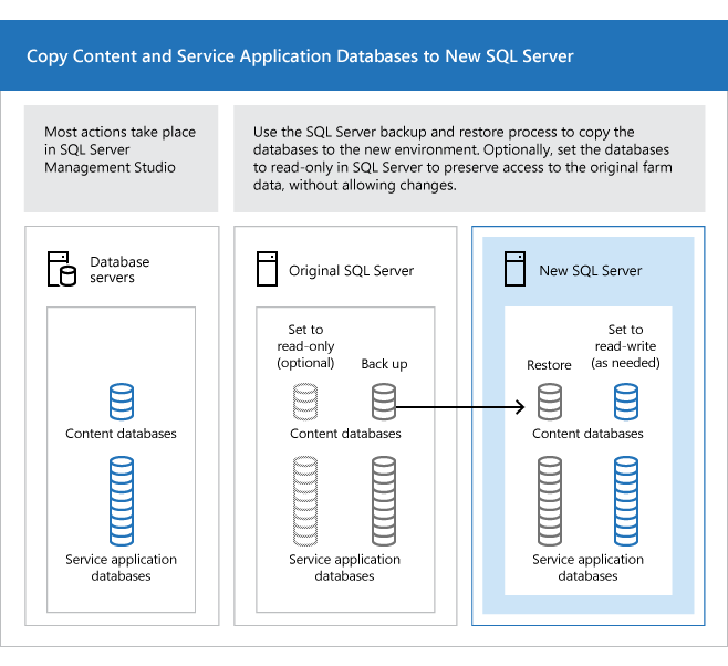 Copia de contenido y bases de datos en SQL Server