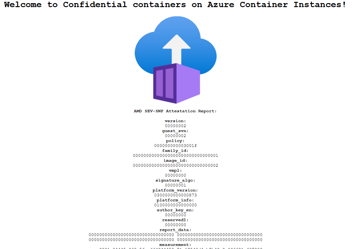 Captura de pantalla de una vista del explorador de una aplicación implementada mediante Azure Container Instances.