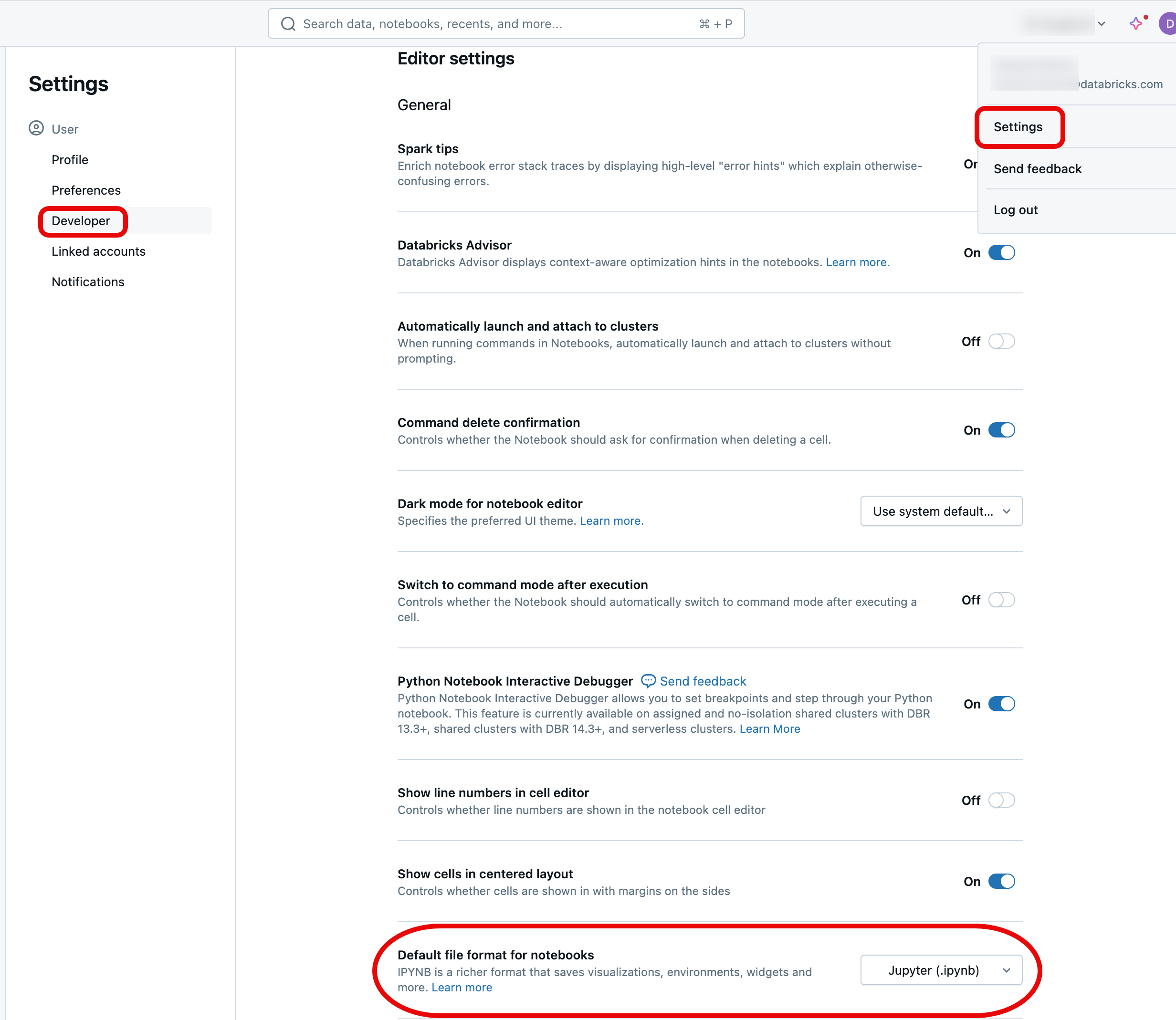 Cambiar el formato de cuaderno predeterminado en la configuración de desarrollador del perfil