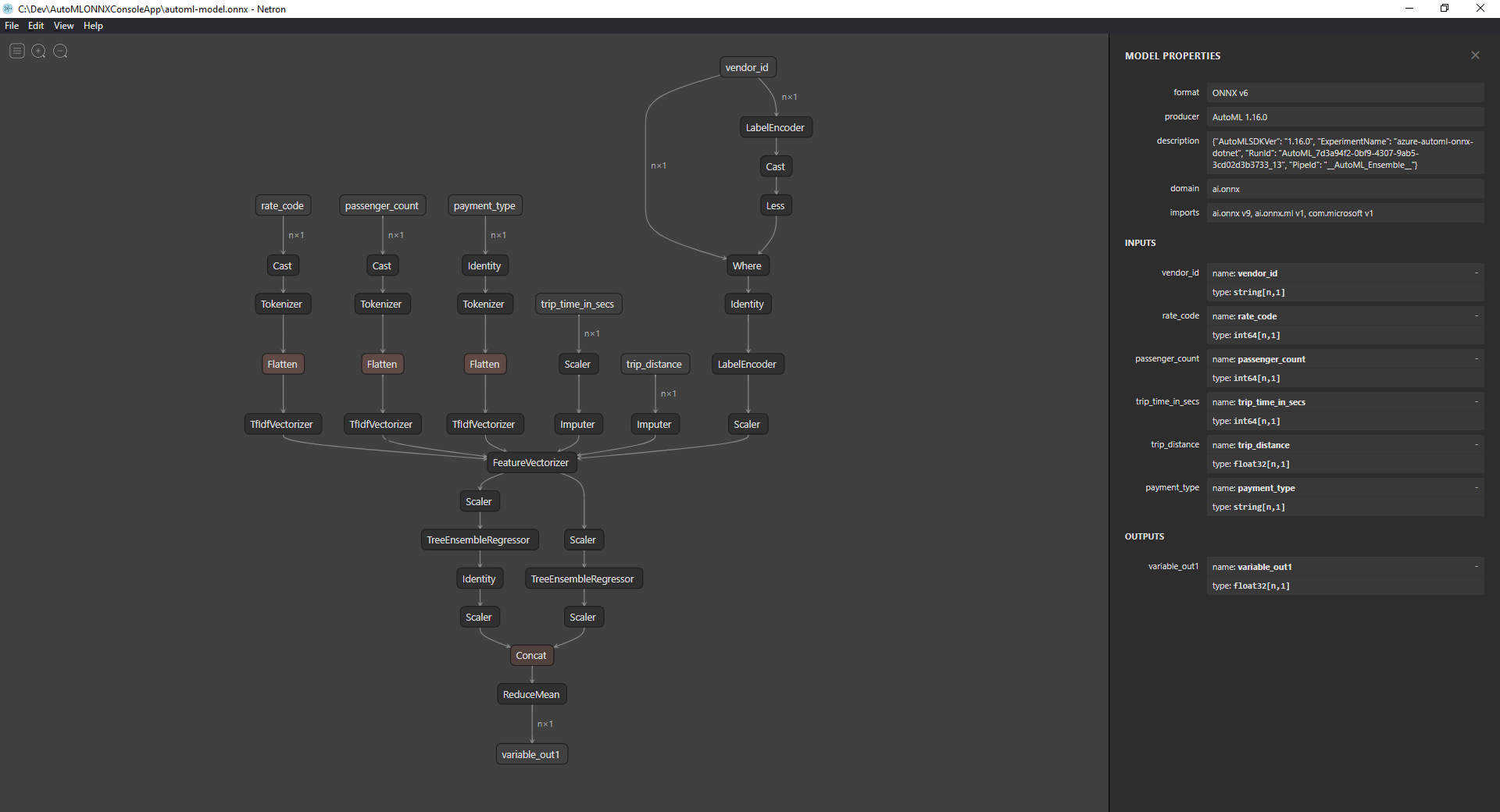 Modelo AutoML de ONNX en Netron