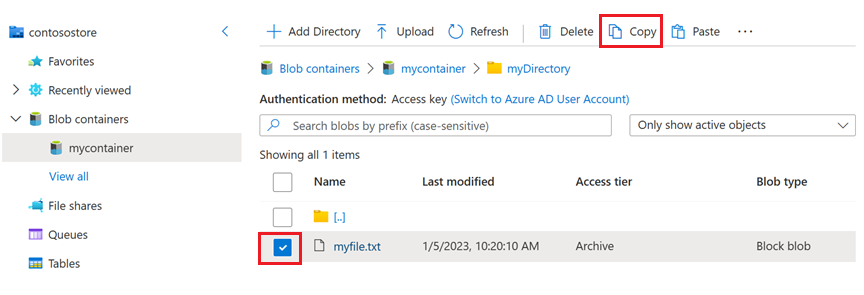 Screenshot of the checkbox next to an archived blob and then the location of the copy button.