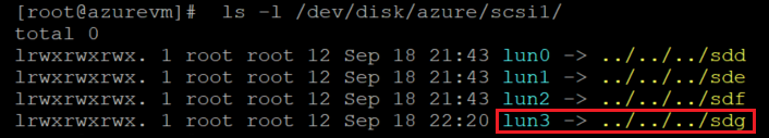 Recorte de pantalla que muestra el código que comprueba la lista de discos, con los resultados resaltados.