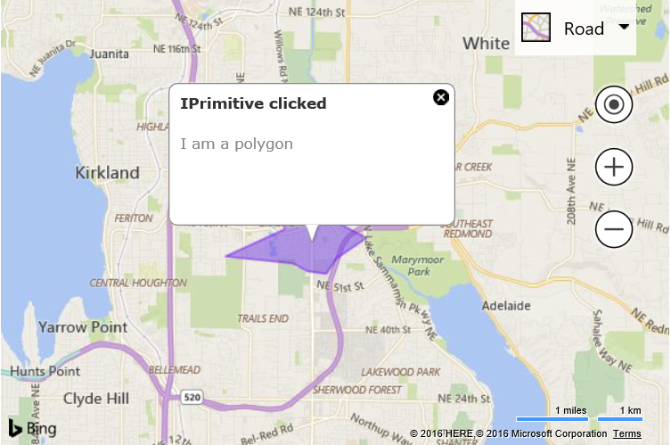 Screenshot of a Bing map showing an infobox associated with a polygon that has a description stating it is a polygon.