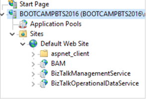 Aplicación BizTalkMOperationalDataServer