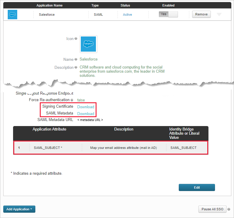 Tenga en cuenta los atributos de la aplicación Salesforce existentes.