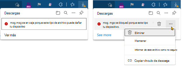 La descarga está bloqueada, el usuario puede conservar o eliminar la descarga.