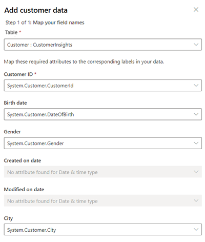 Ejemplo de campos asignados para datos de perfil de cliente.