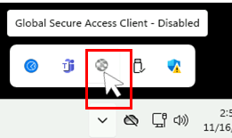 Captura de pantalla del icono Cliente de acceso seguro global que se muestra como deshabilitado.