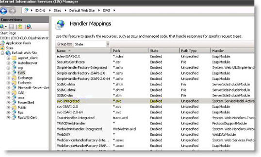 Captura de pantalla de la ventana para la configuración de IIS.