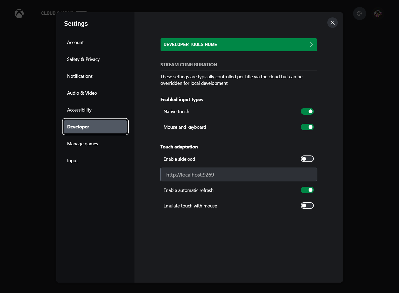 Screenshot of settings developer tab