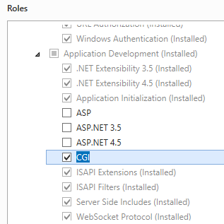 Captura de pantalla que muestra la opción C G I seleccionada para Windows Server 2012.