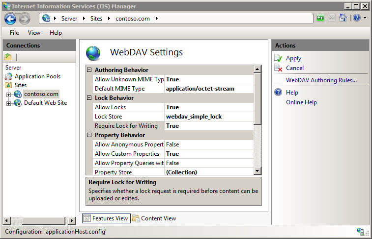 Screenshot of the Web DAV Settings page. In the Lock Behavior section, Allow Locks is set to True. Web Dav underscore simple underscore lock is selected for Lock Store.