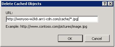 Captura de pantalla que muestra una U R L con un patrón wildchar en el cuadro de diálogo Eliminar objetos almacenados en caché.