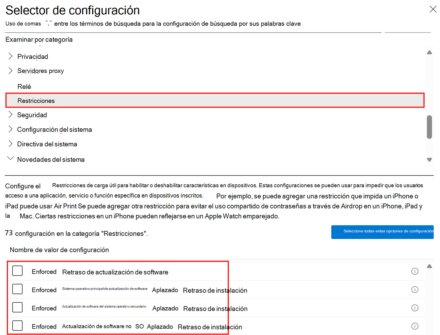 Captura de pantalla que muestra la configuración de directivas de restricciones del catálogo de configuración para retrasar o aplazar las actualizaciones de software en Microsoft Intune.