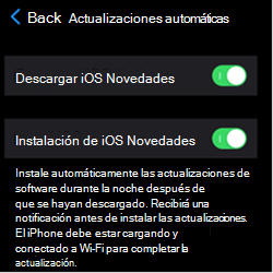 Captura de pantalla que muestra la configuración de actualización automática en dispositivos Apple iOS/iPadOS.