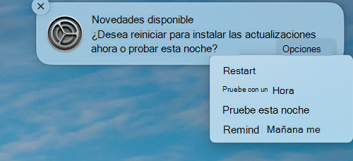 La notificación de ejemplo de que una actualización está disponible en un dispositivo Apple macOS.