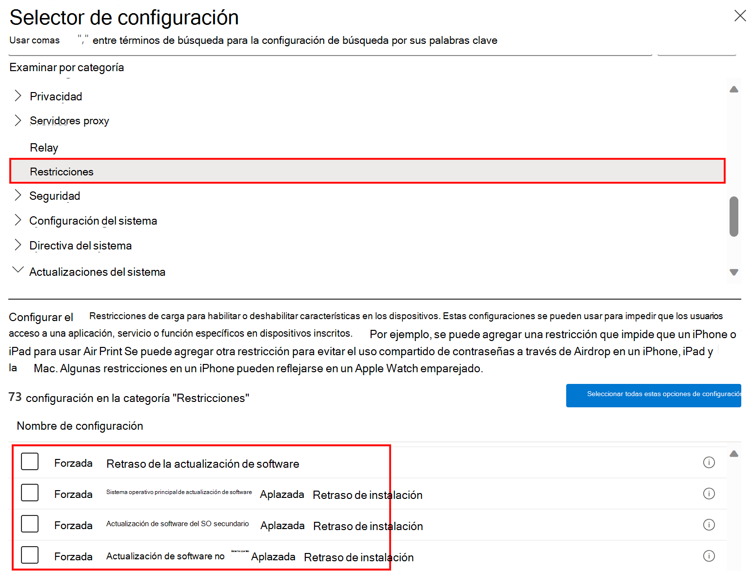 Captura de pantalla que muestra la configuración de directivas de restricciones del catálogo de configuración para retrasar o aplazar las actualizaciones de software en Microsoft Intune.