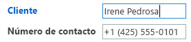 Vista de problemas actualizada con número de teléfono