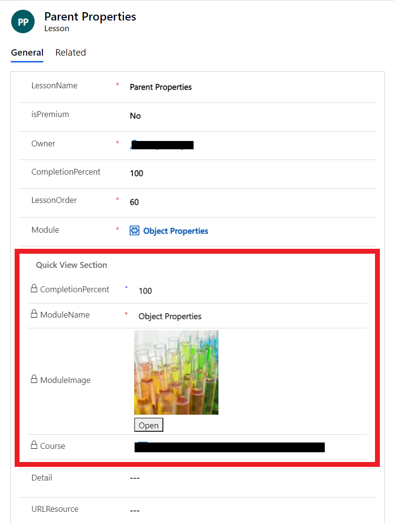 ver control de formulario de vista rápida