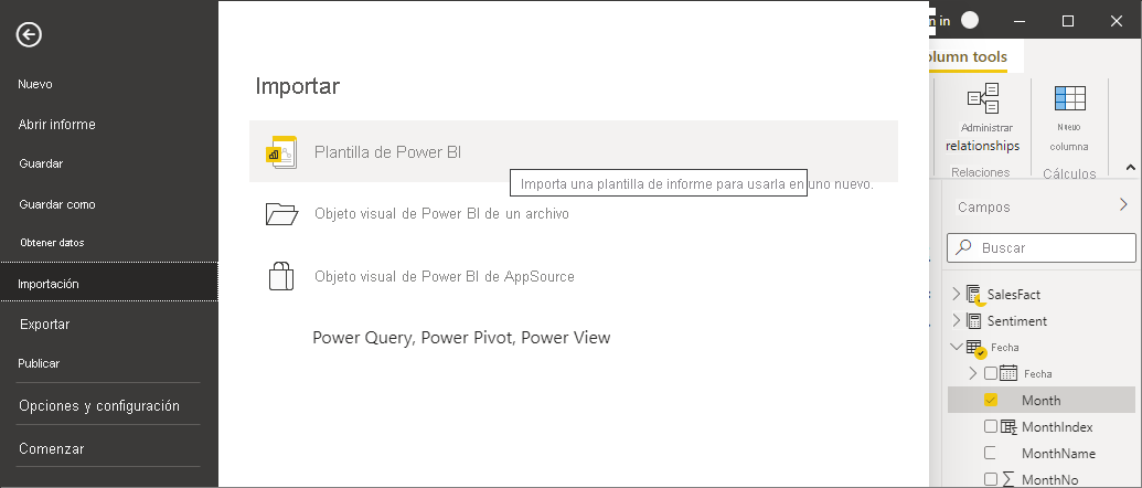 Captura de pantalla de Power BI Desktop que muestra las opciones de importación.