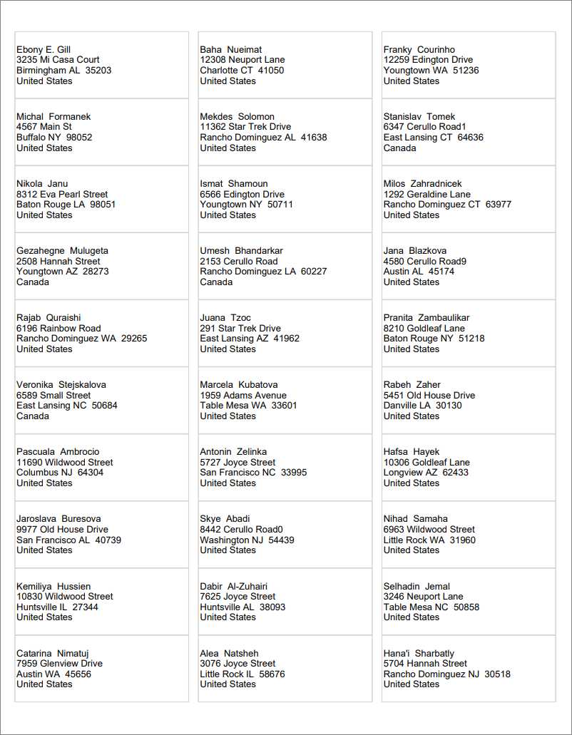 Captura de pantalla de etiquetas de informe paginado de Power BI de ejemplo.