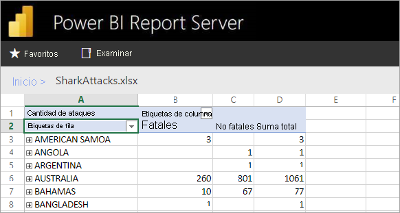 Excel reports viewed from the report server web portal